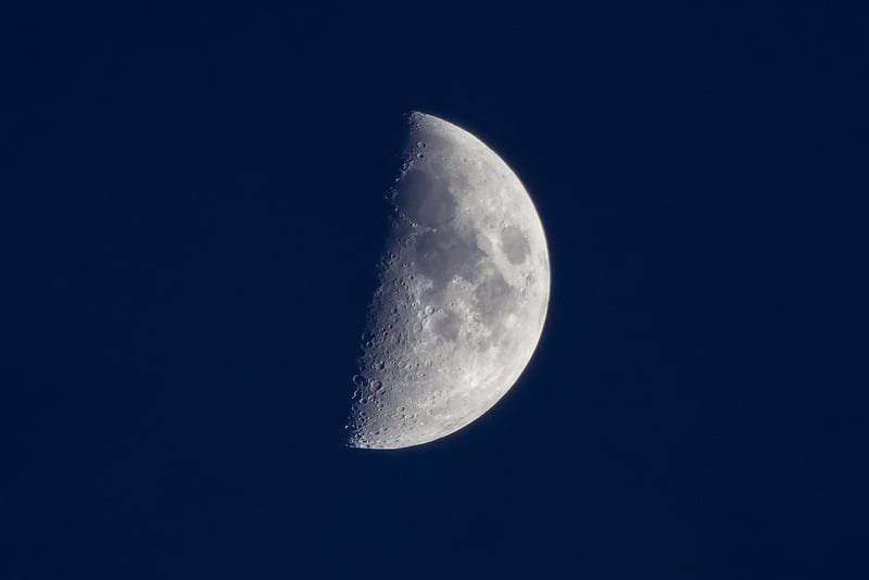 Lunar Tuxedos