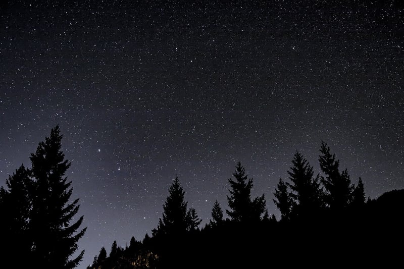 Starlight Photography
