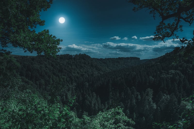 Moon Phase Image